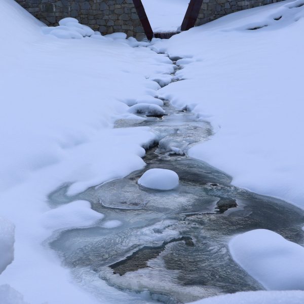 Torrente Palobbia