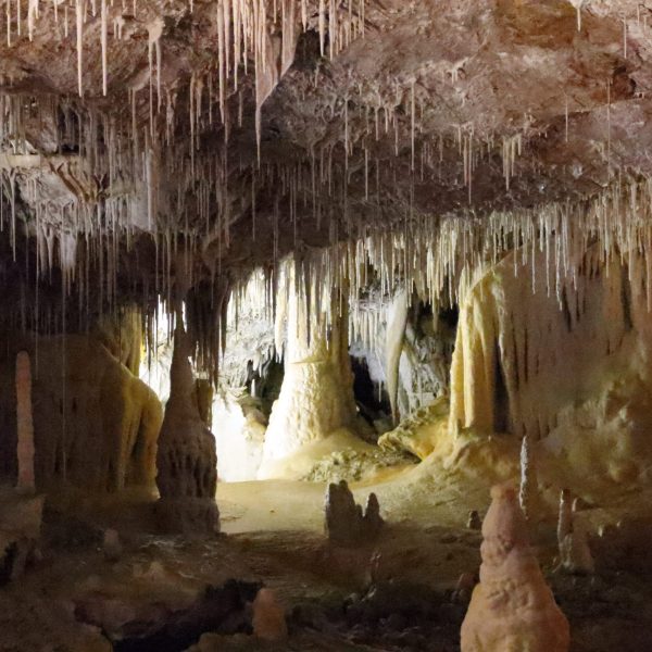 Grotte di Borgio Verezzi